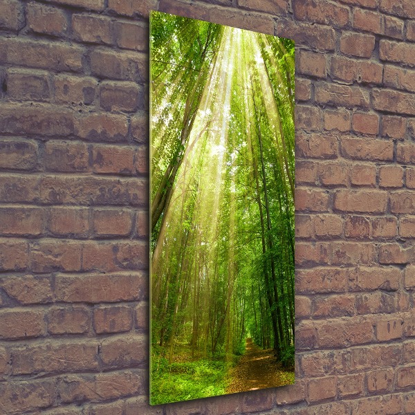 Wall art acrylic Path in the forest