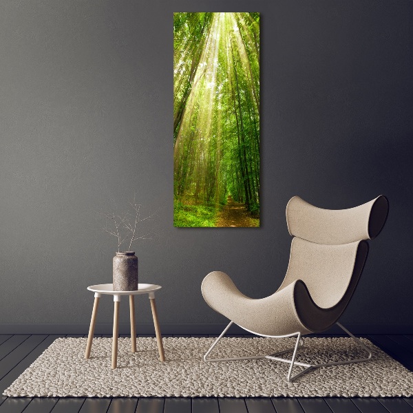 Wall art acrylic Path in the forest