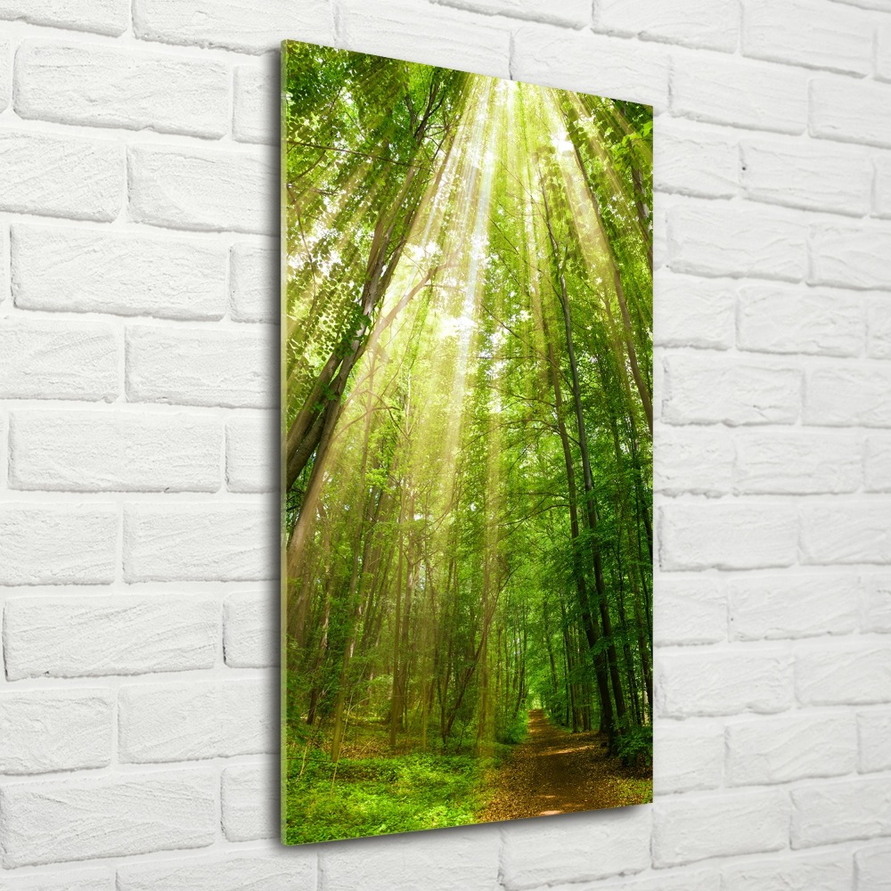 Wall art acrylic Path in the forest