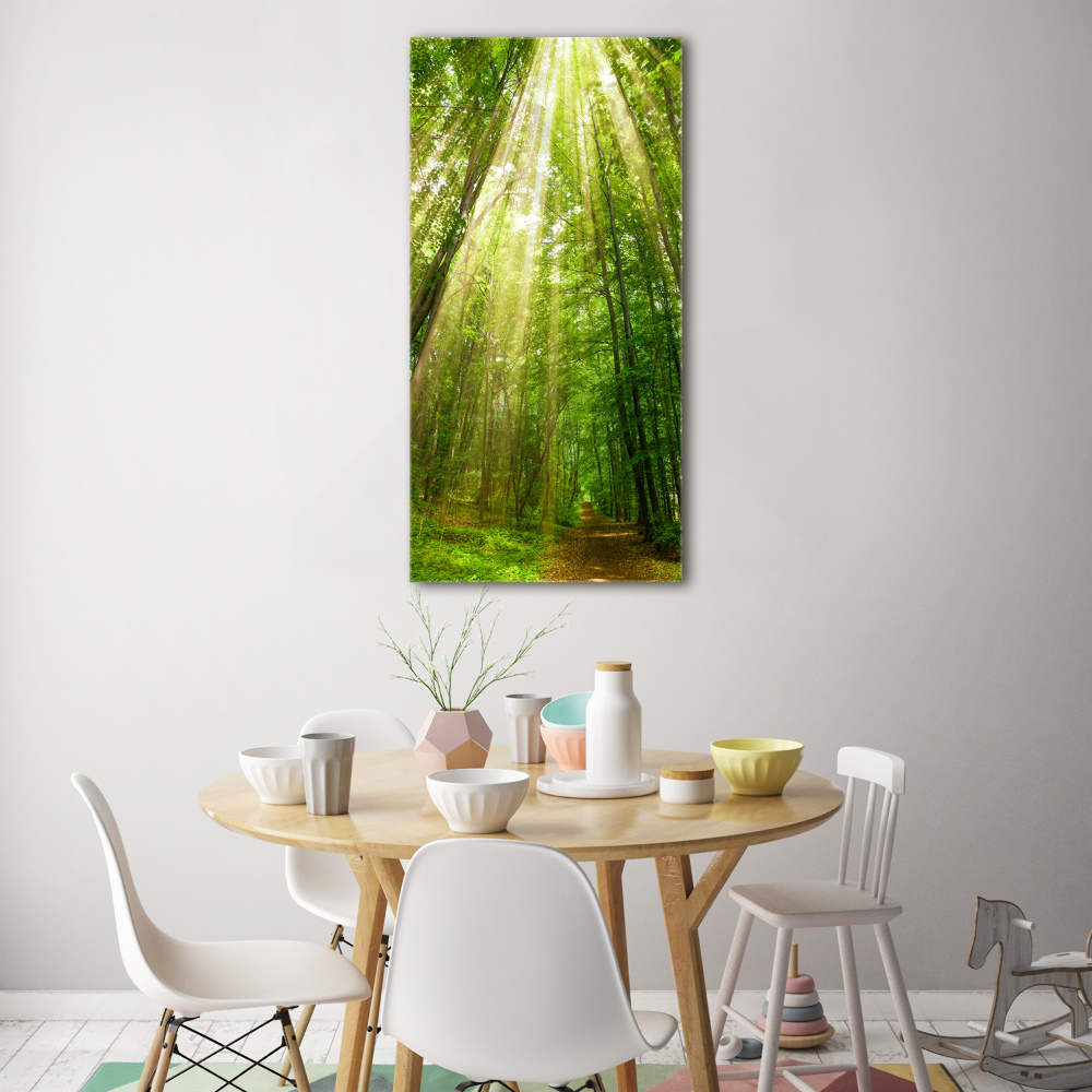 Wall art acrylic Path in the forest