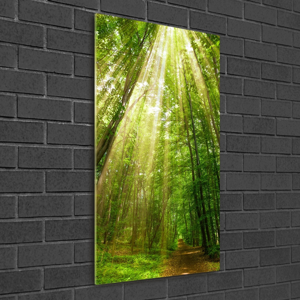 Wall art acrylic Path in the forest