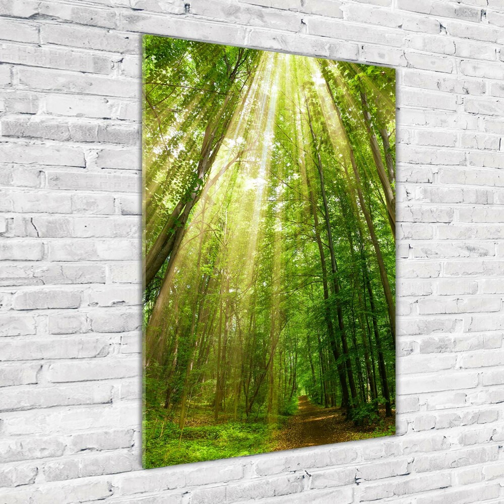 Wall art acrylic Path in the forest