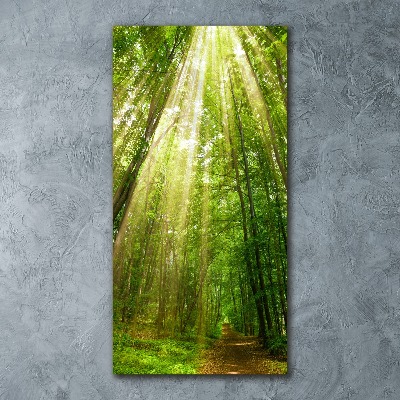 Wall art acrylic Path in the forest