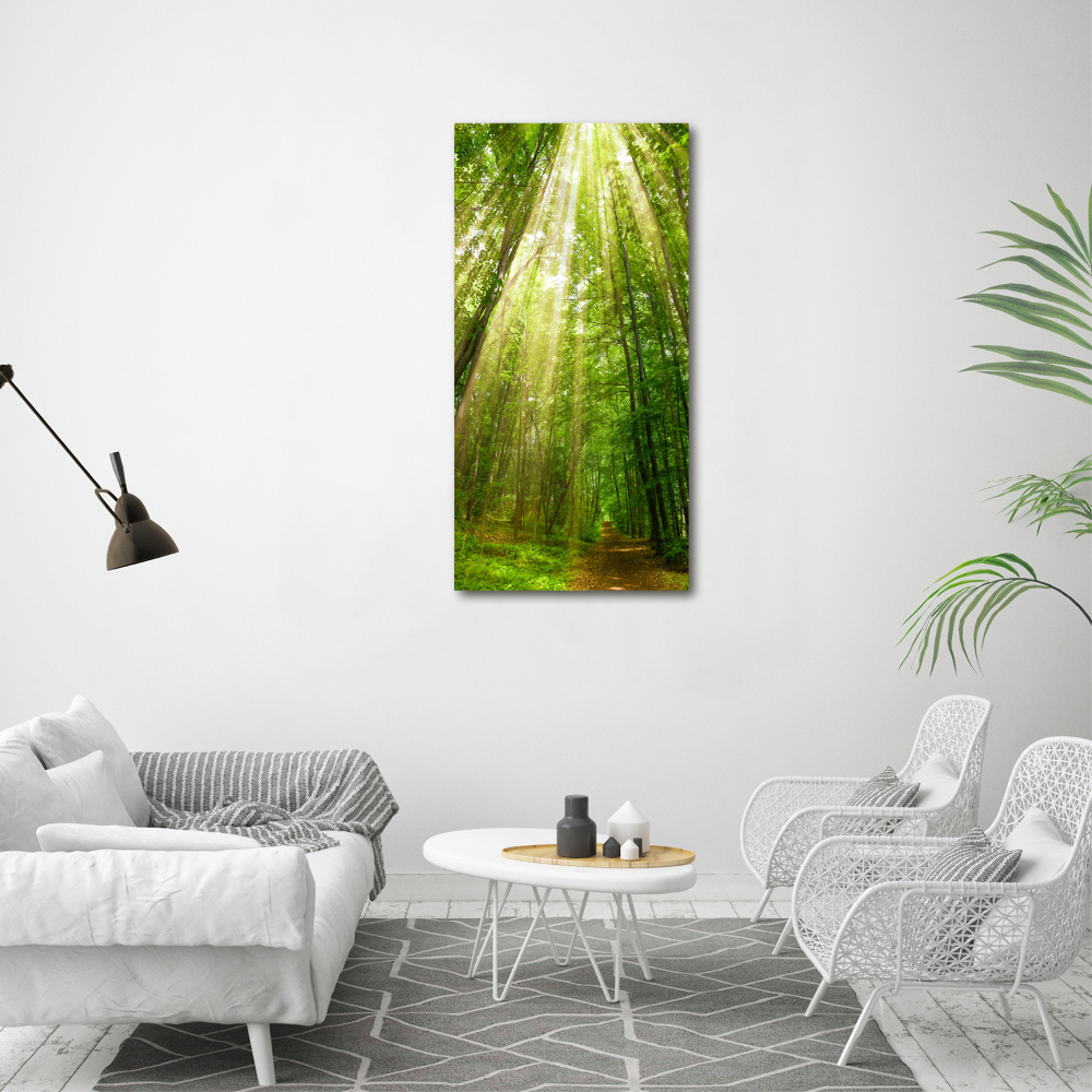 Wall art acrylic Path in the forest