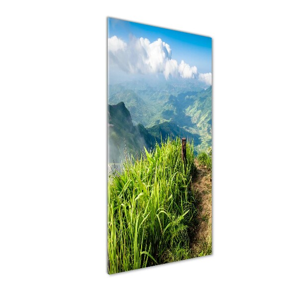 Acrylic wall art Mountain trail