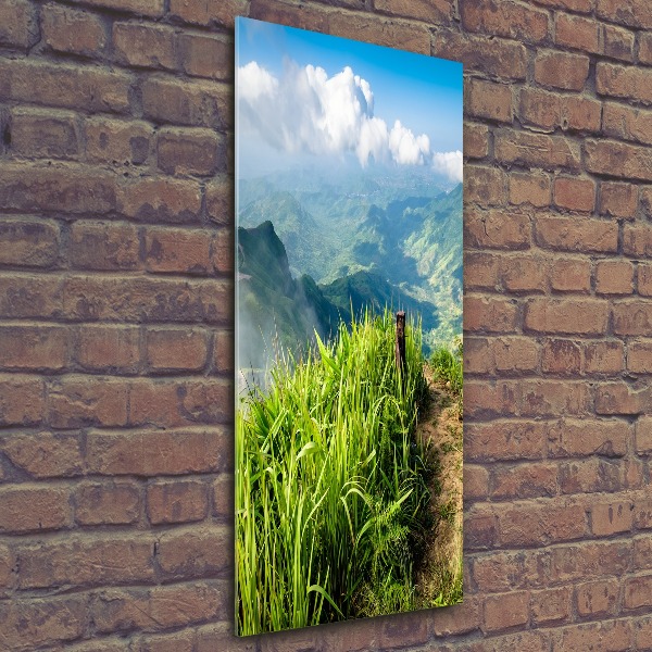 Acrylic wall art Mountain trail