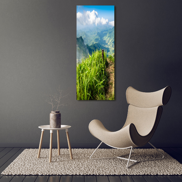 Acrylic wall art Mountain trail