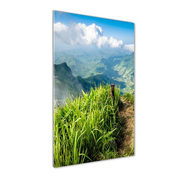 Acrylic wall art Mountain trail