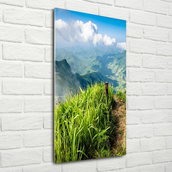 Acrylic wall art Mountain trail