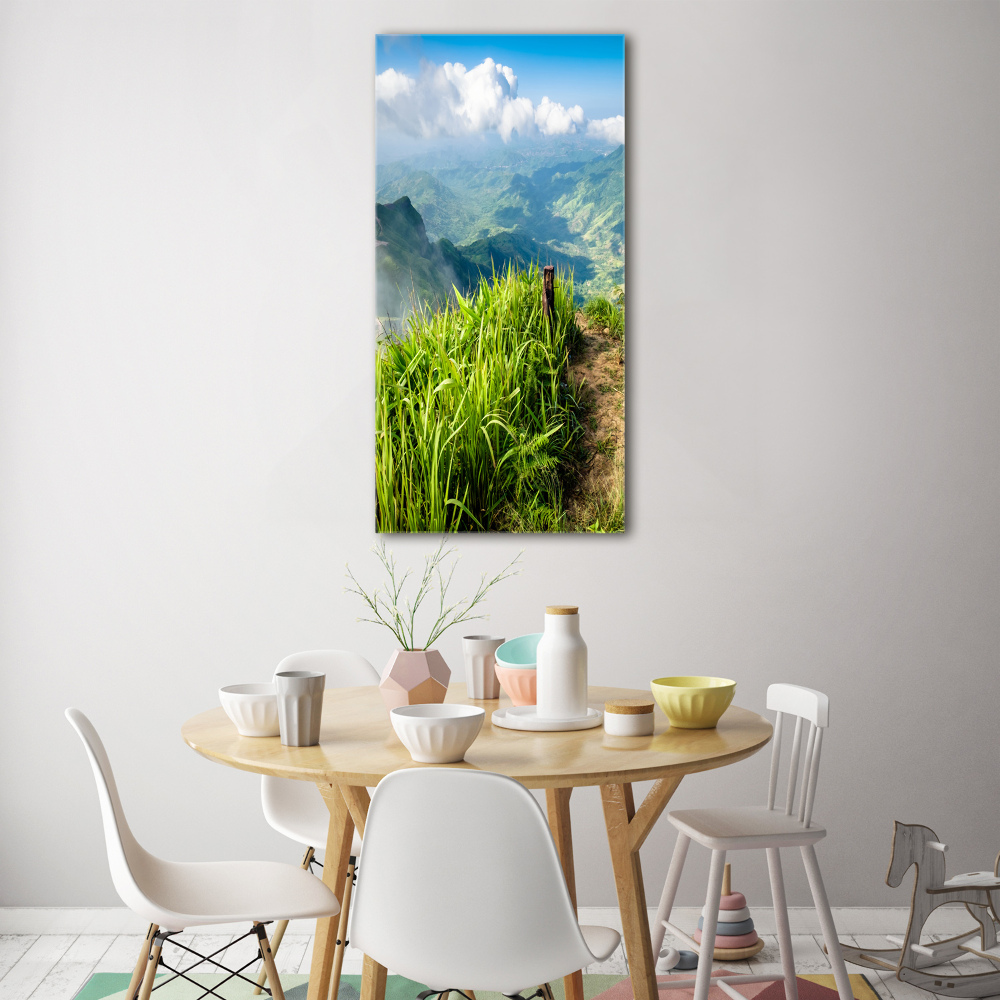 Acrylic wall art Mountain trail