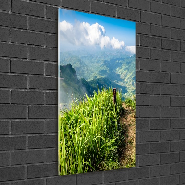 Acrylic wall art Mountain trail