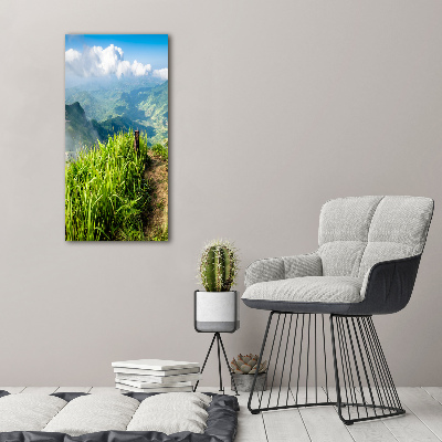 Acrylic wall art Mountain trail