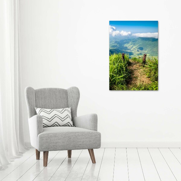 Acrylic wall art Mountain trail