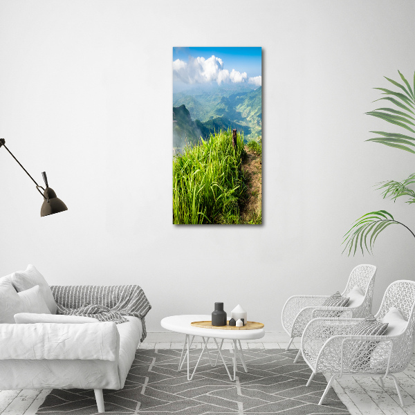 Acrylic wall art Mountain trail