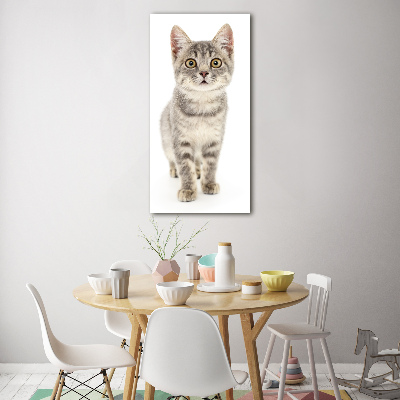 Wall art acrylic Gray cat