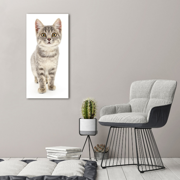 Wall art acrylic Gray cat