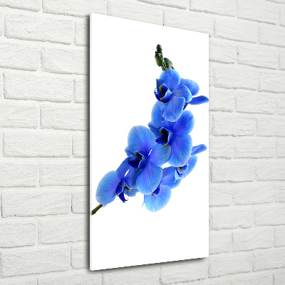 Print on acrylic glass Blue orchid