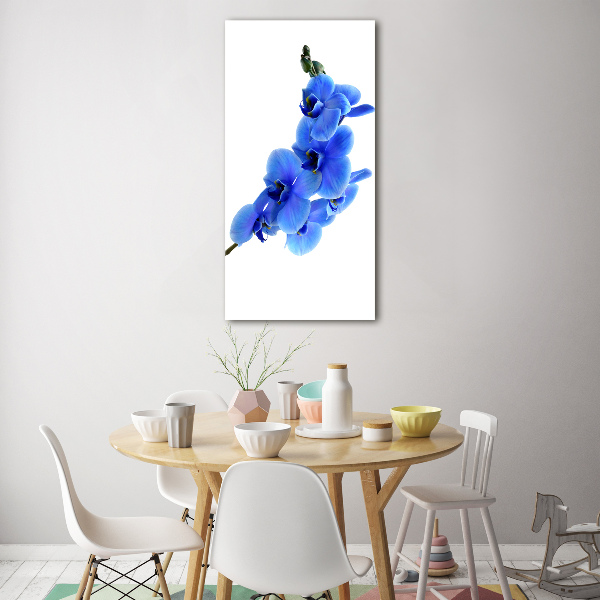 Print on acrylic glass Blue orchid