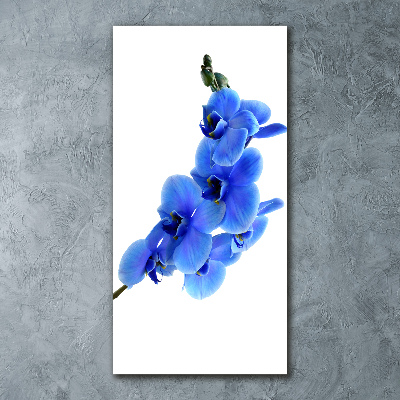 Print on acrylic glass Blue orchid