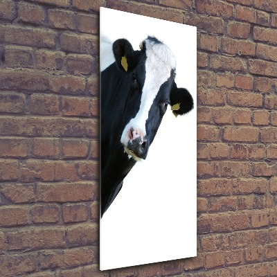 Print on acrylic Spotted cow