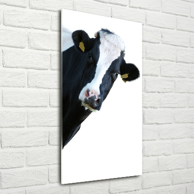 Print on acrylic Spotted cow