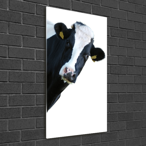 Print on acrylic Spotted cow