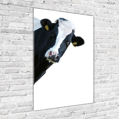 Print on acrylic Spotted cow