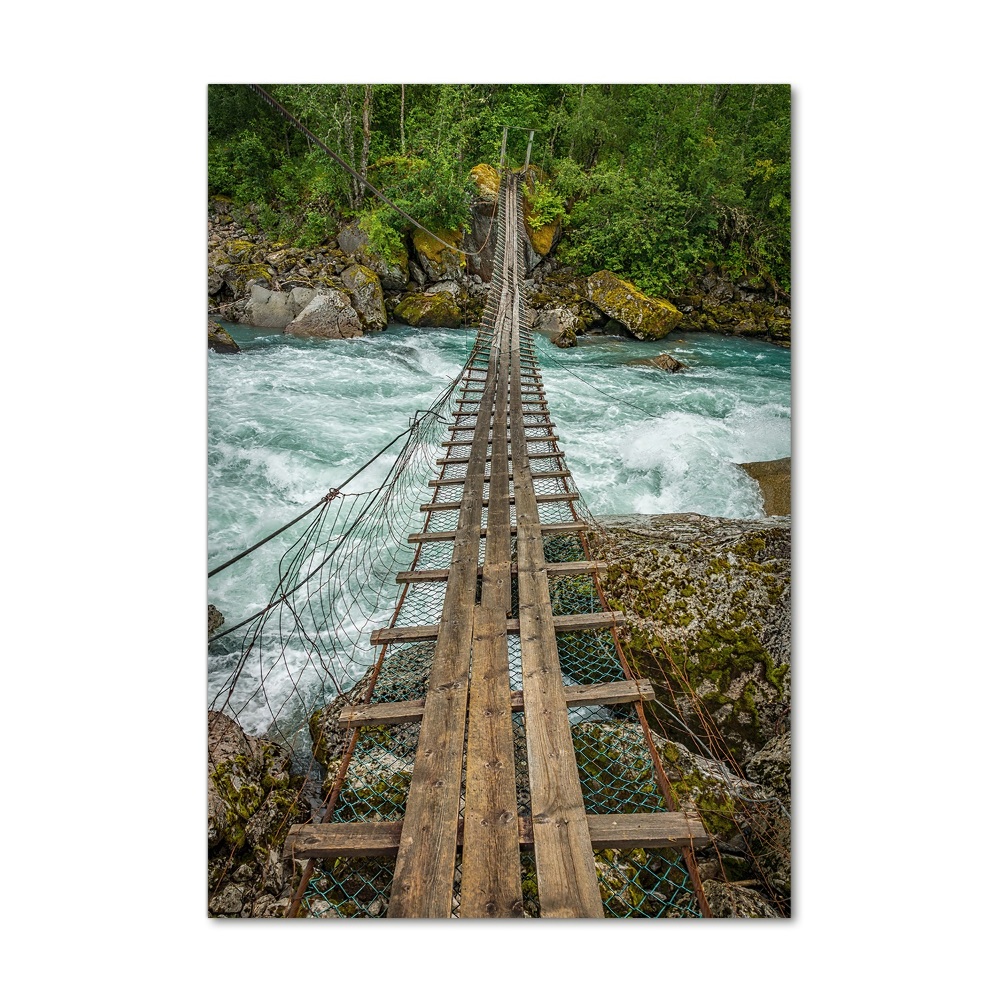 Print on acrylic Hanging bridge