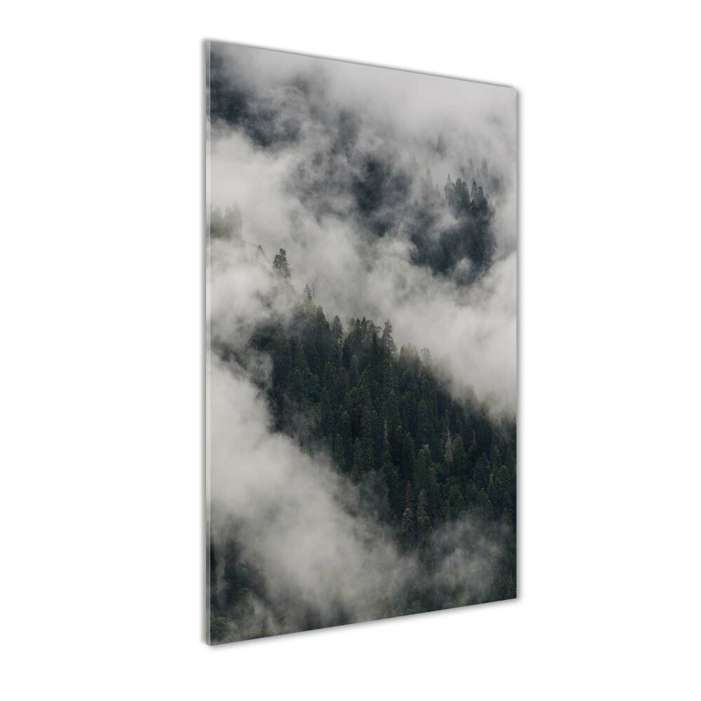 Print on acrylic Cloud over the forest