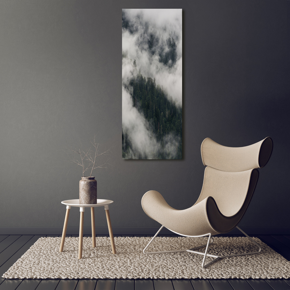 Print on acrylic Cloud over the forest