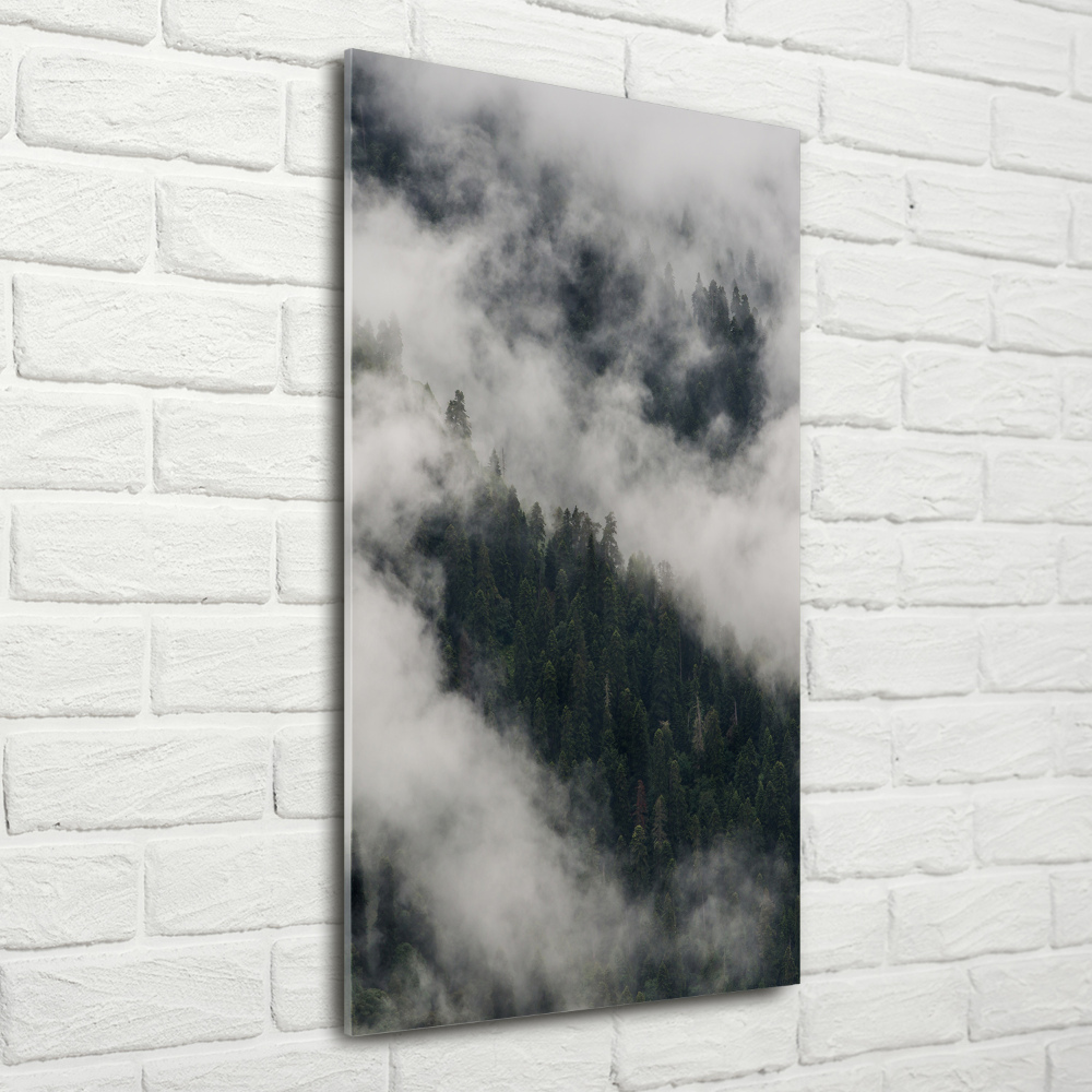 Print on acrylic Cloud over the forest