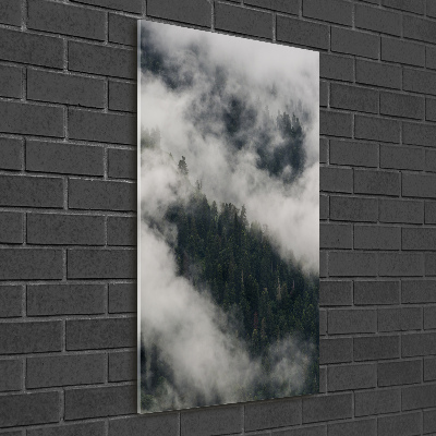 Print on acrylic Cloud over the forest