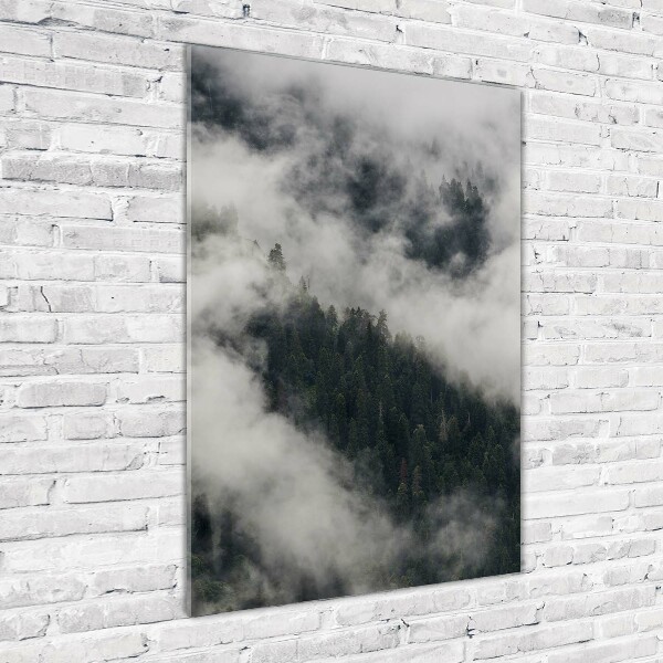 Print on acrylic Cloud over the forest