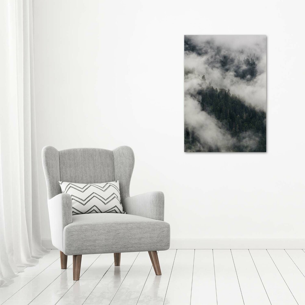 Print on acrylic Cloud over the forest