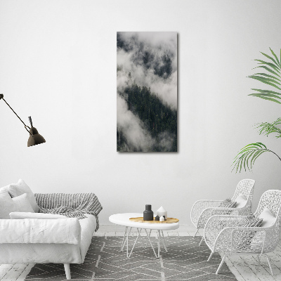 Print on acrylic Cloud over the forest