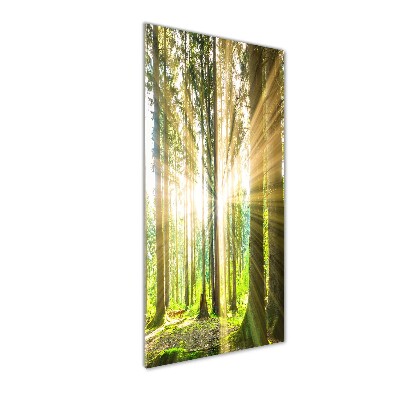 Wall art acrylic The sun in the forest