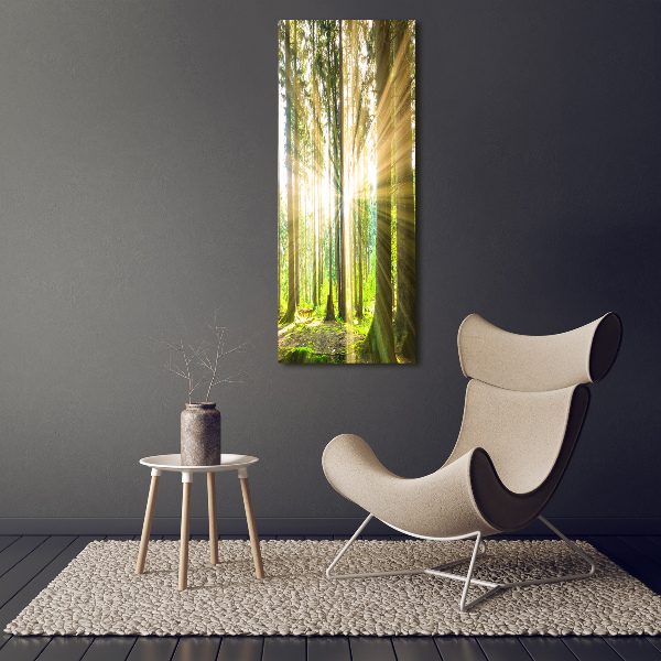 Wall art acrylic The sun in the forest