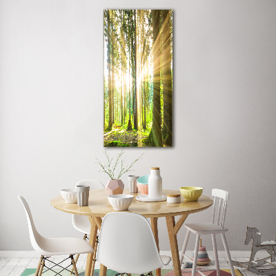 Wall art acrylic The sun in the forest