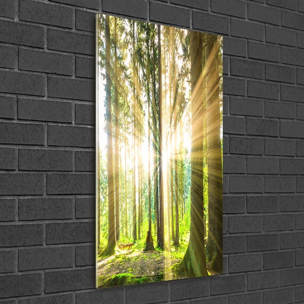 Wall art acrylic The sun in the forest