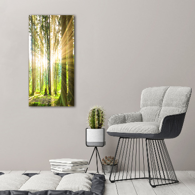 Wall art acrylic The sun in the forest