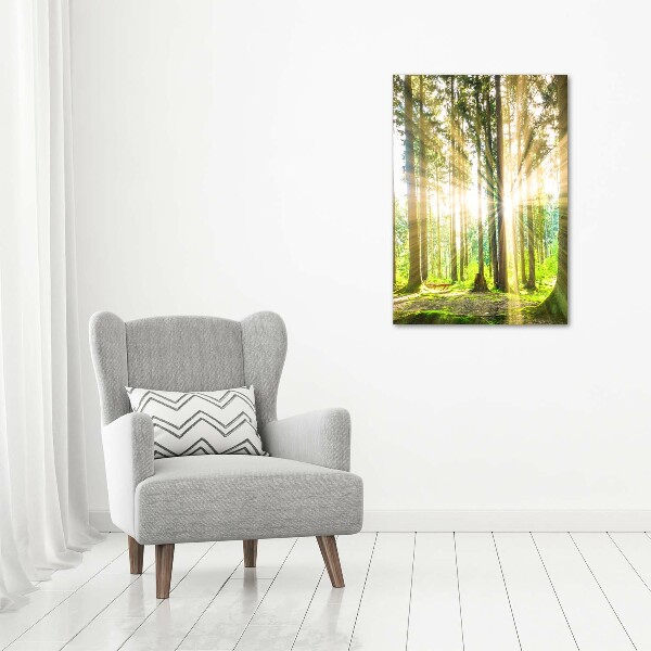 Wall art acrylic The sun in the forest