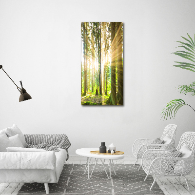 Wall art acrylic The sun in the forest