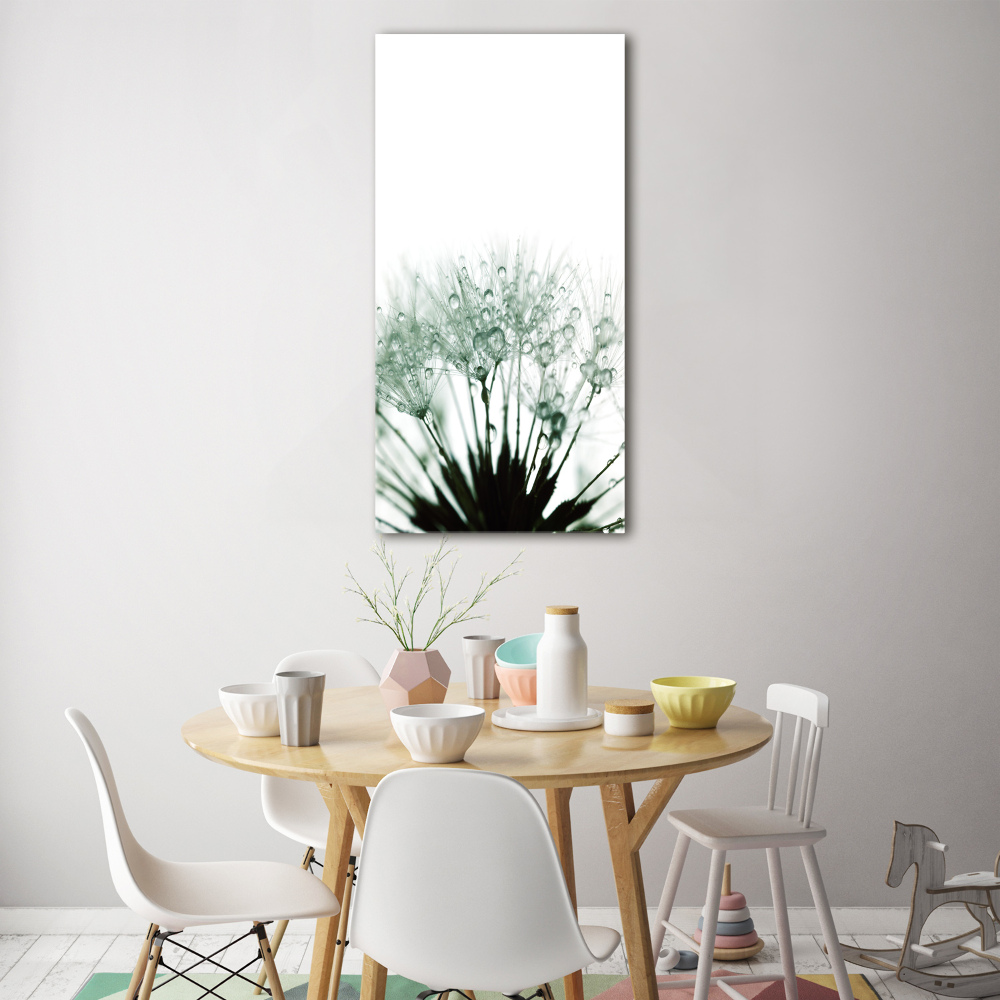 Acrylic glass print Dandelion seeds