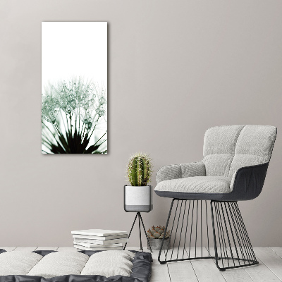 Acrylic glass print Dandelion seeds