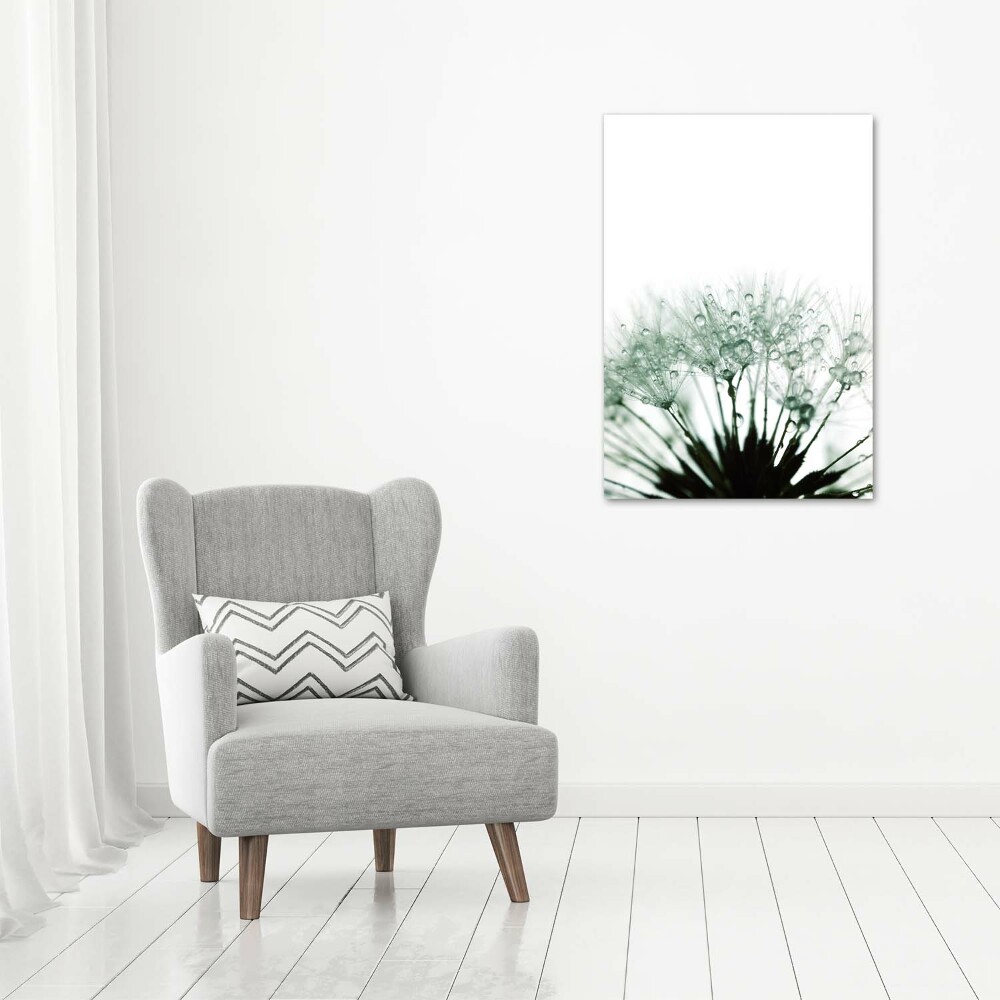 Acrylic glass print Dandelion seeds