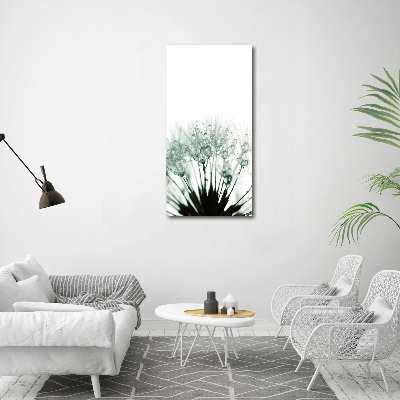 Acrylic glass print Dandelion seeds