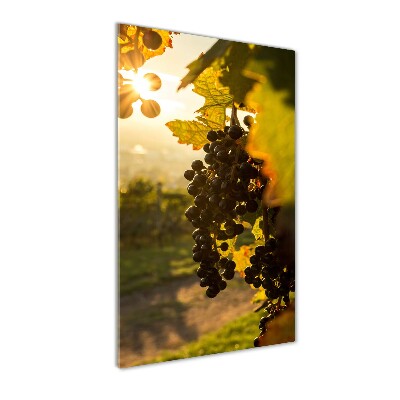 Wall art acrylic Vineyard