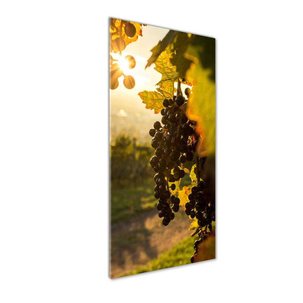 Wall art acrylic Vineyard