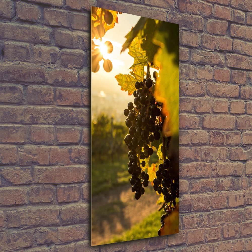 Wall art acrylic Vineyard