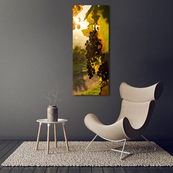 Wall art acrylic Vineyard